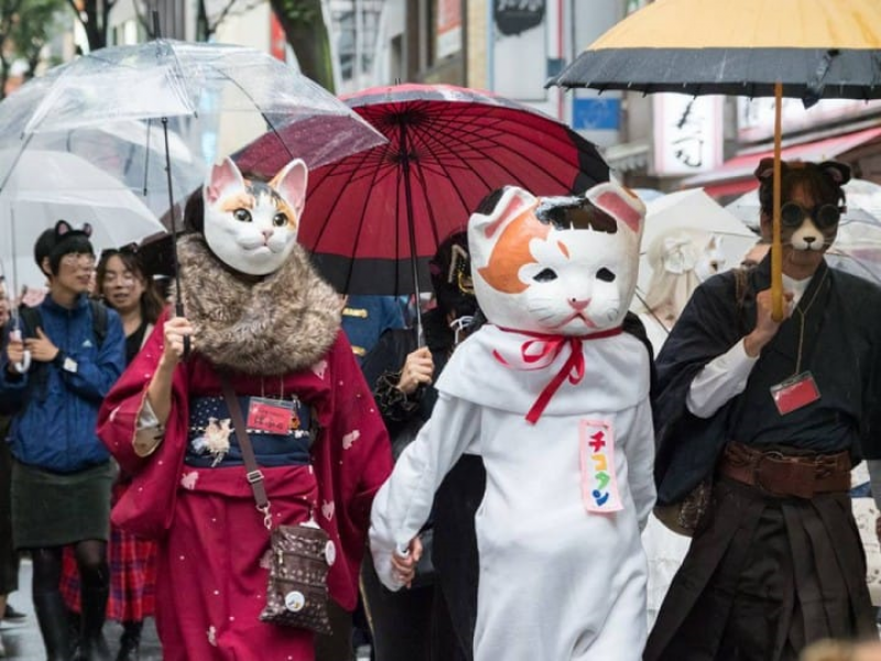 bakeneko bakeneko